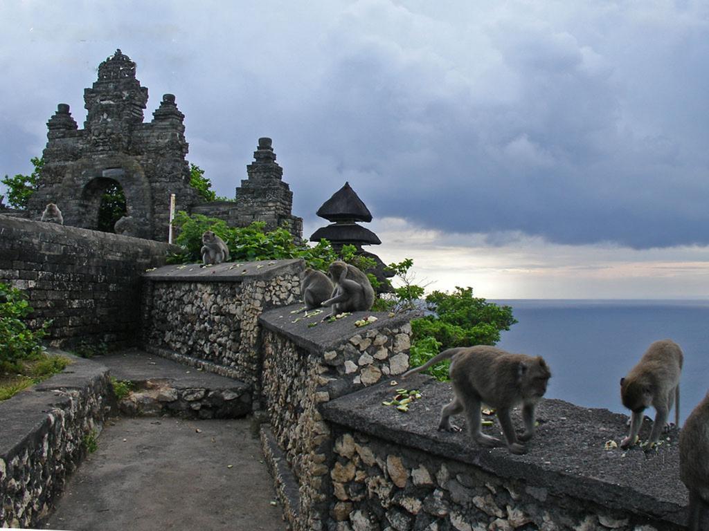 Bali Green Hills Pecatu Exteriér fotografie